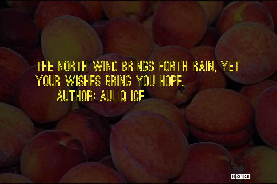 The North Wind Quotes By Auliq Ice