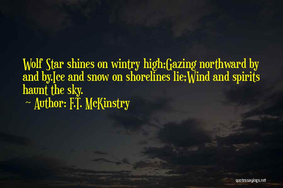 The North Wind Quotes By F.T. McKinstry