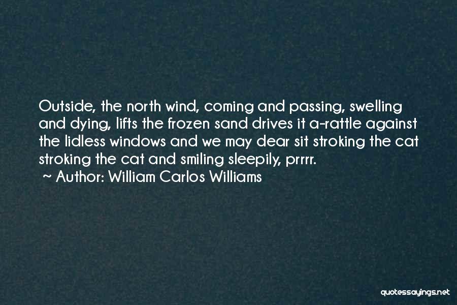 The North Wind Quotes By William Carlos Williams