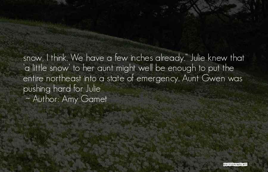 The Northeast Quotes By Amy Gamet