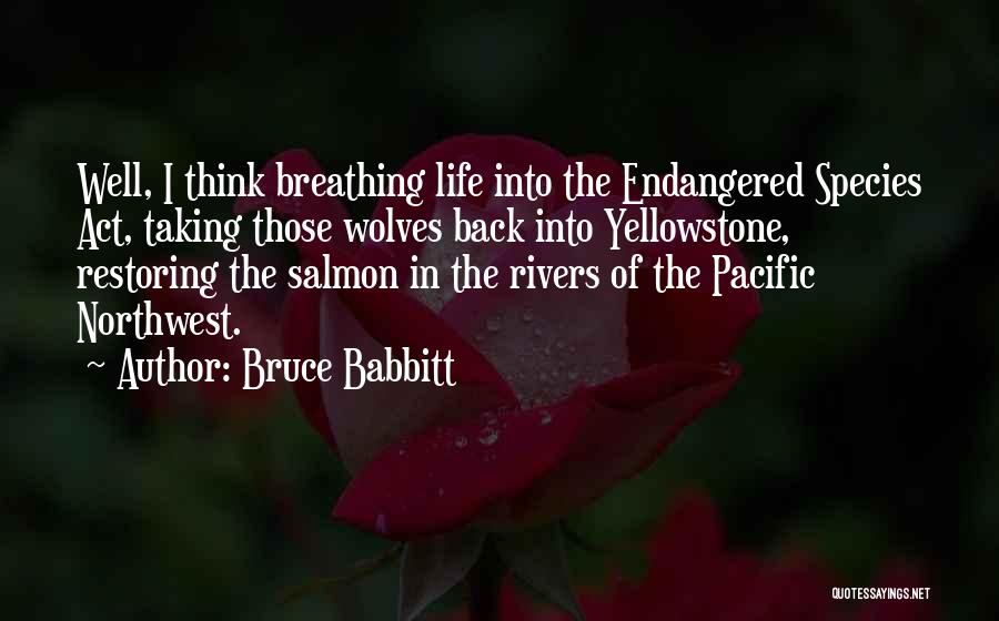 The Northwest Quotes By Bruce Babbitt