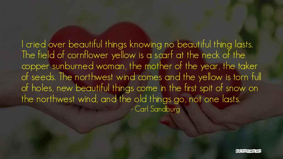 The Northwest Quotes By Carl Sandburg The Northwest Quotes By Carl Sandburg