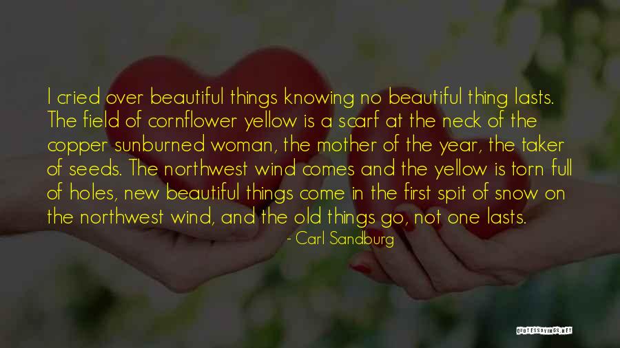 The Northwest Quotes By Carl Sandburg