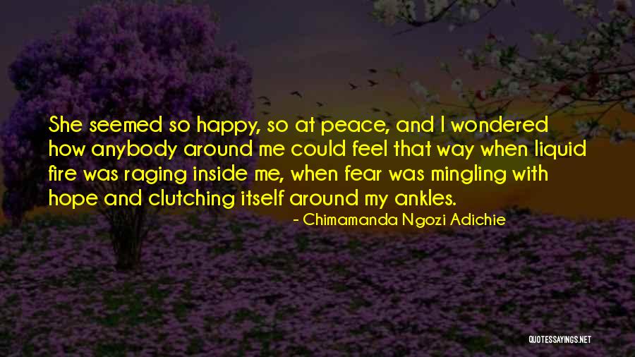 The Notebook Alzheimer's Quotes By Chimamanda Ngozi Adichie