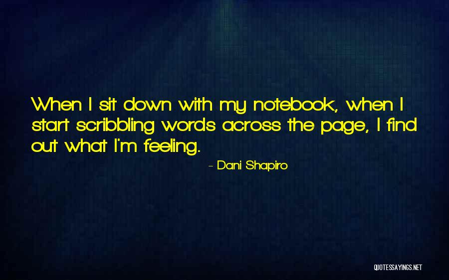 The Notebook Quotes By Dani Shapiro The Notebook Quotes By Dani Shapiro