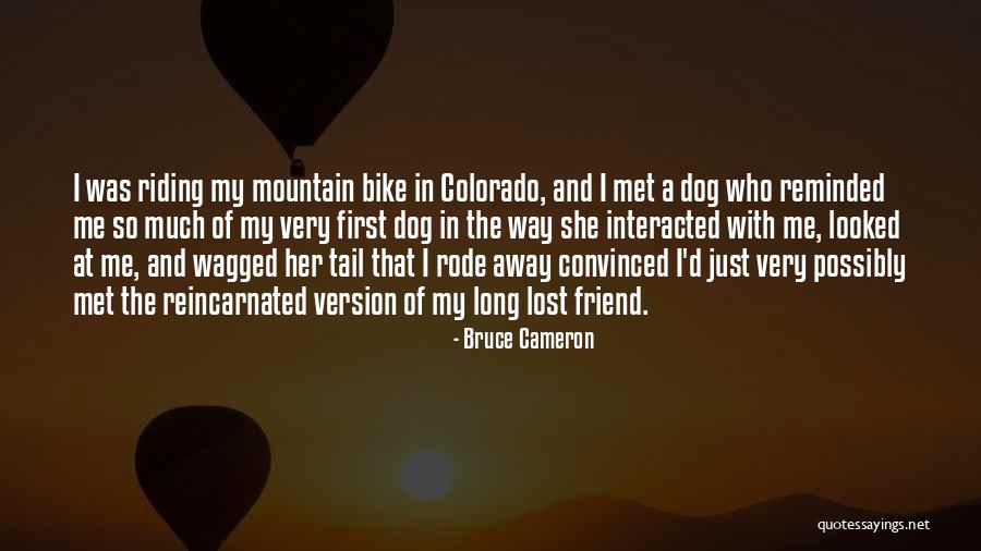 The Nut Family Books Quotes By Bruce Cameron The Nut Family Books Quotes By Bruce Cameron