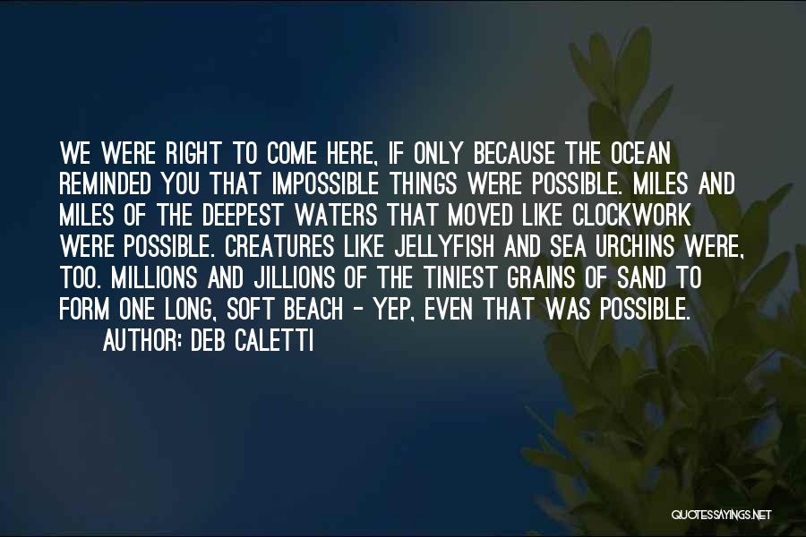 The Ocean And Beach Quotes By Deb Caletti