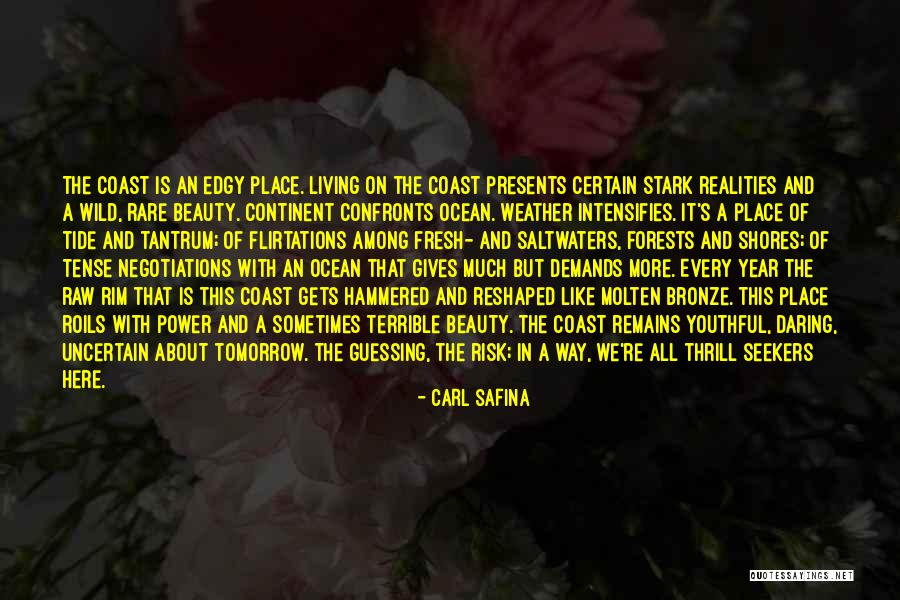 The Ocean And Beauty Quotes By Carl Safina