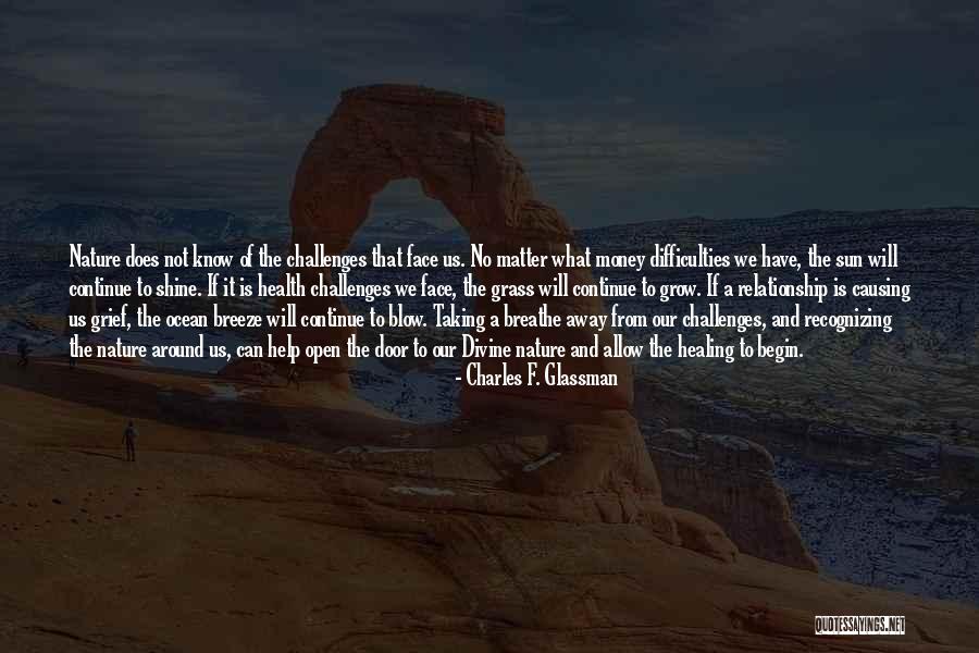 The Ocean And Beauty Quotes By Charles F. Glassman