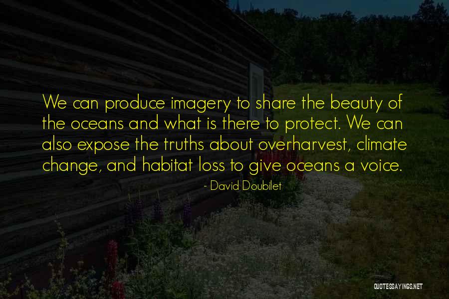 The Ocean And Beauty Quotes By David Doubilet