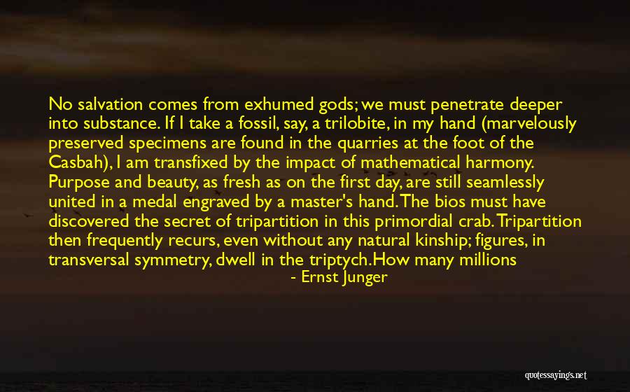 The Ocean And Beauty Quotes By Ernst Junger