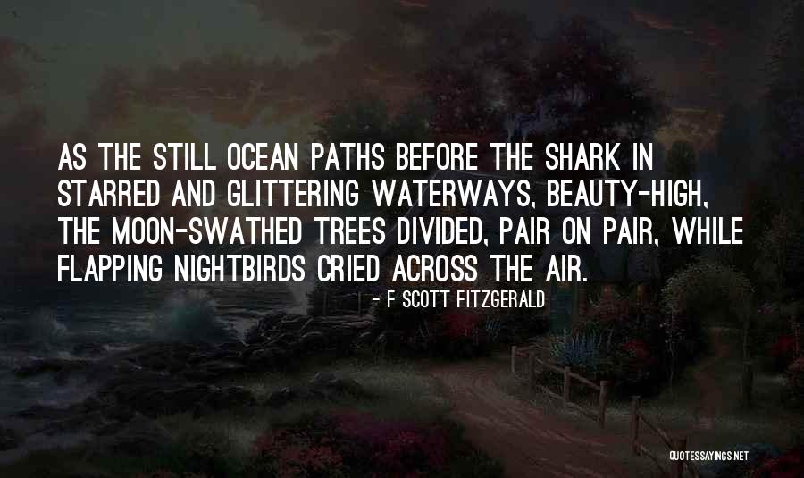 The Ocean And Beauty Quotes By F Scott Fitzgerald