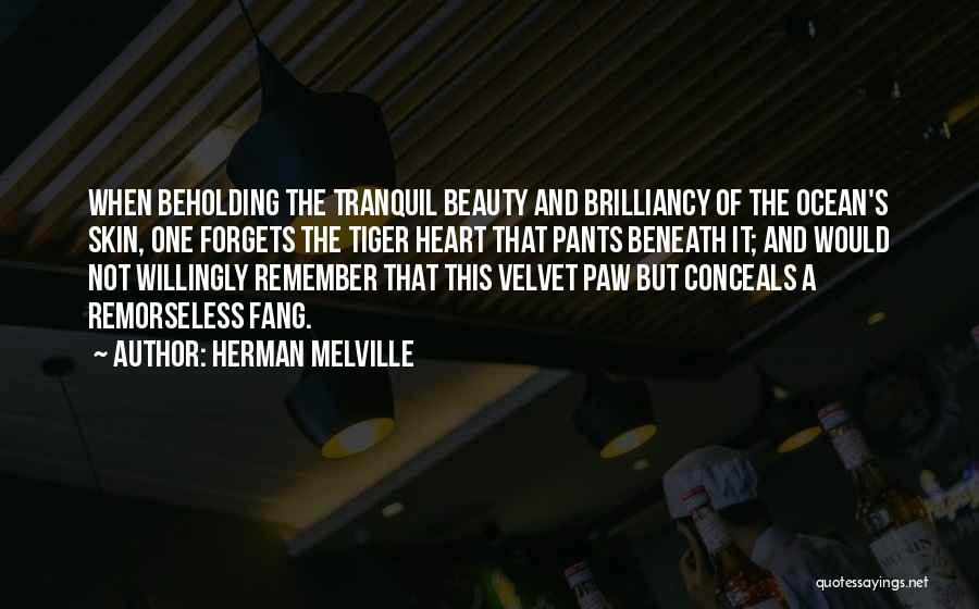 The Ocean And Beauty Quotes By Herman Melville