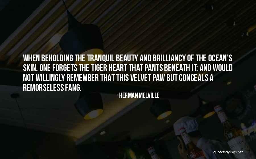 The Ocean And Beauty Quotes By Herman Melville