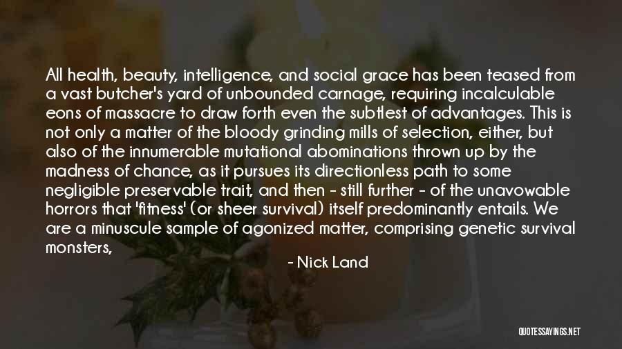 The Ocean And Beauty Quotes By Nick Land