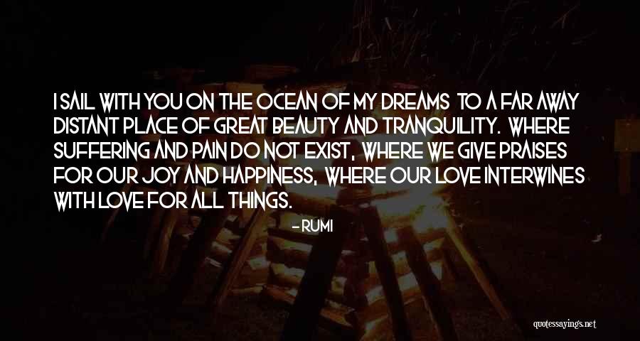 The Ocean And Beauty Quotes By Rumi