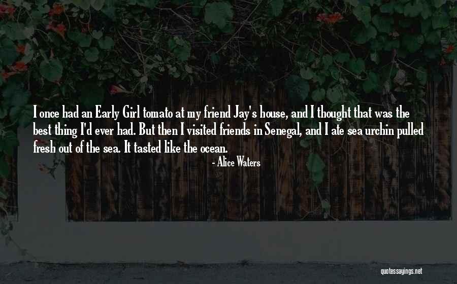 The Ocean And Friends Quotes By Alice Waters The Ocean And Friends Quotes By Alice Waters