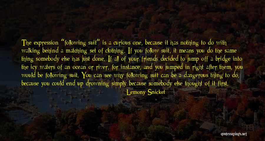 The Ocean And Friends Quotes By Lemony Snicket The Ocean And Friends Quotes By Lemony Snicket