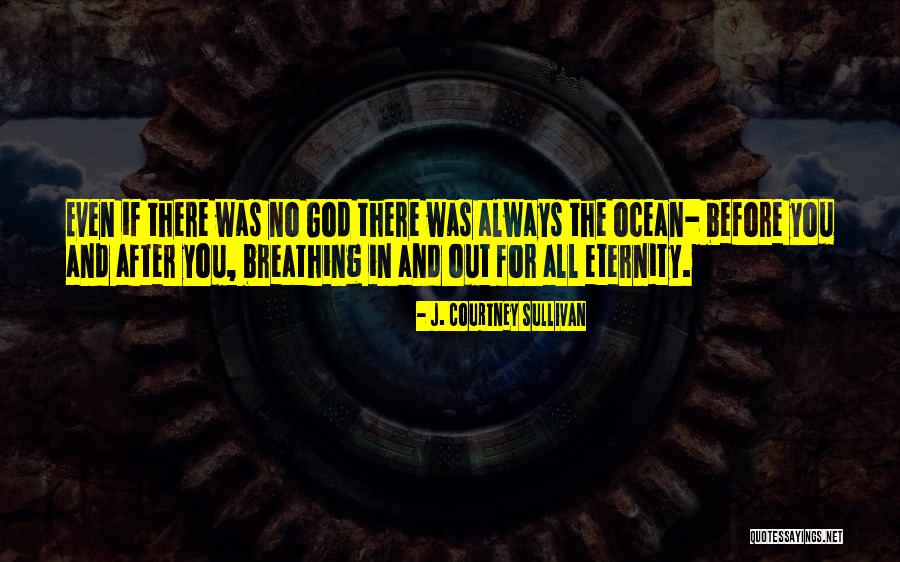 The Ocean And God Quotes By J. Courtney Sullivan