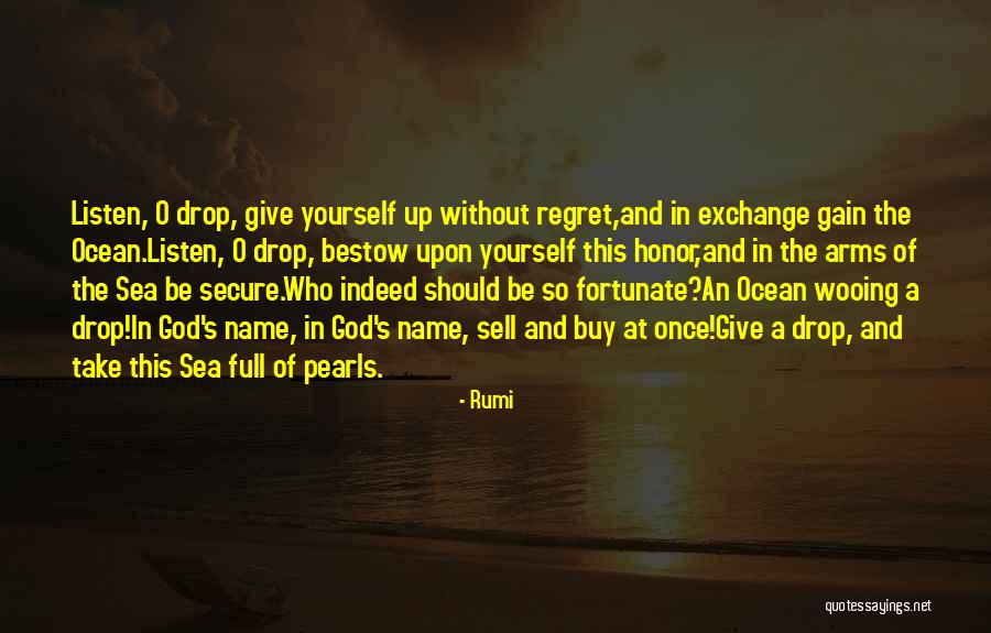 The Ocean And God Quotes By Rumi