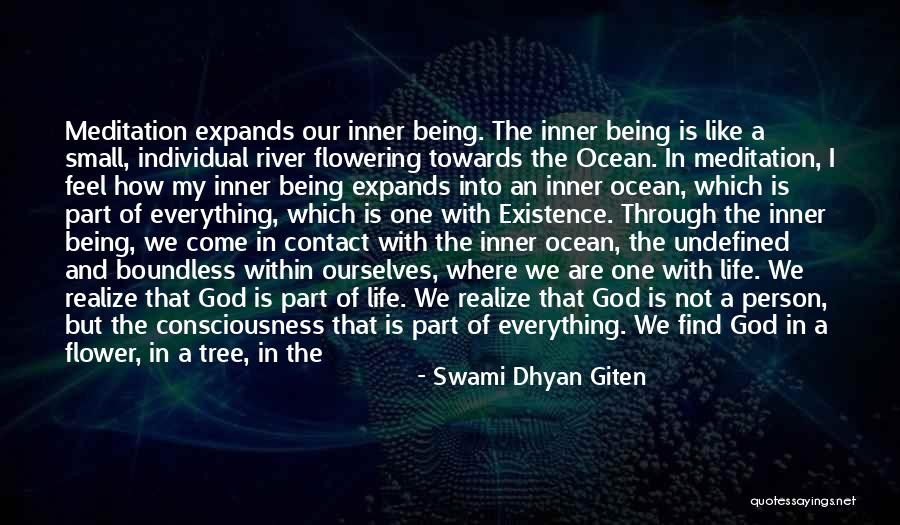 The Ocean And God Quotes By Swami Dhyan Giten