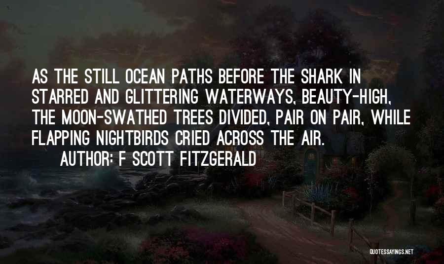 The Ocean And Moon Quotes By F Scott Fitzgerald