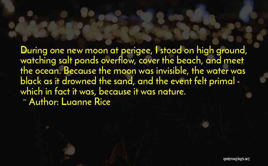 The Ocean And Moon Quotes By Luanne Rice