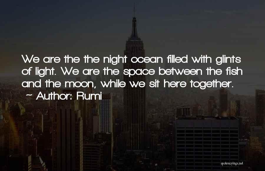 The Ocean And Moon Quotes By Rumi