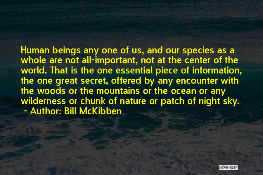 The Ocean And Mountains Quotes By Bill McKibben