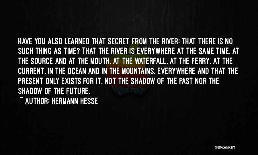 The Ocean And Mountains Quotes By Hermann Hesse