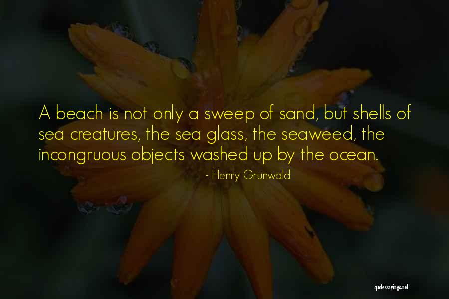 The Ocean And Shells Quotes By Henry Grunwald