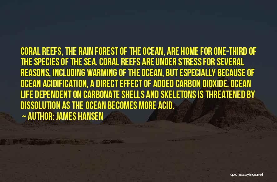 The Ocean And Shells Quotes By James Hansen