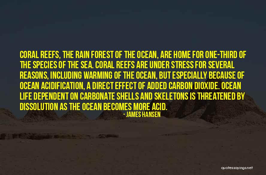 The Ocean And Shells Quotes By James Hansen