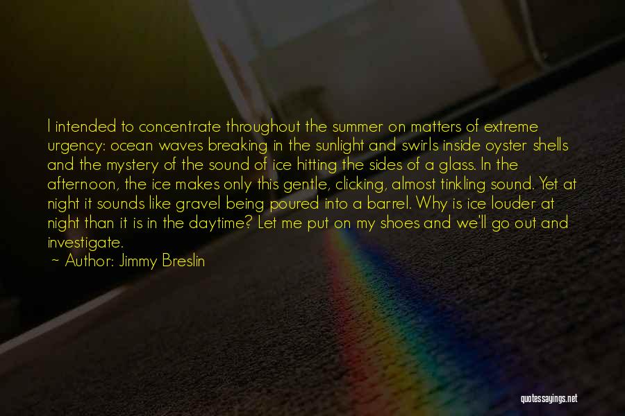 The Ocean And Shells Quotes By Jimmy Breslin