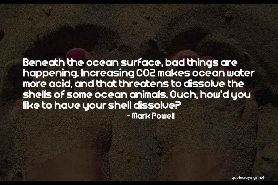 The Ocean And Shells Quotes By Mark Powell