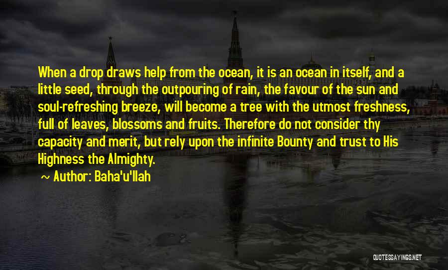 The Ocean And Soul Quotes By Baha'u'llah