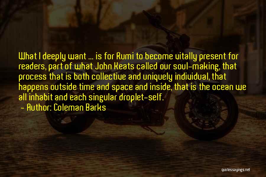 The Ocean And Soul Quotes By Coleman Barks