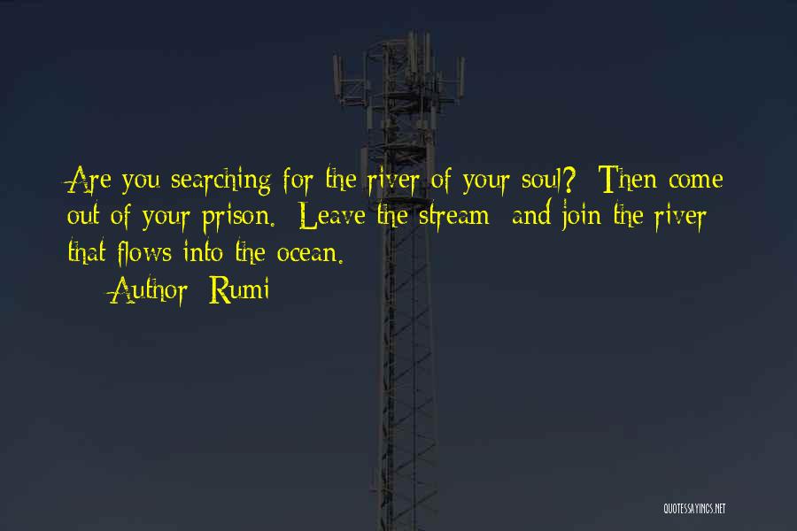 The Ocean And Soul Quotes By Rumi