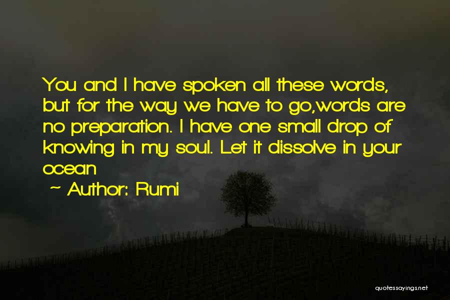 The Ocean And Soul Quotes By Rumi