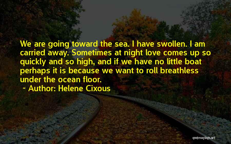 The Ocean At Night Quotes By Helene Cixous
