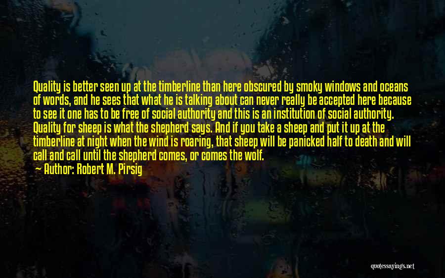 The Ocean At Night Quotes By Robert M. Pirsig