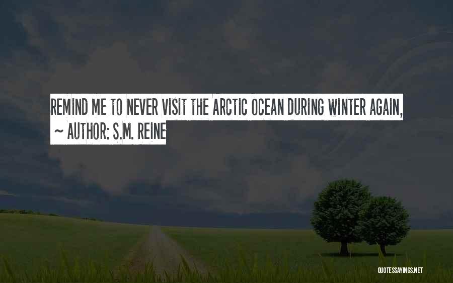 The Ocean In Winter Quotes By S.M. Reine