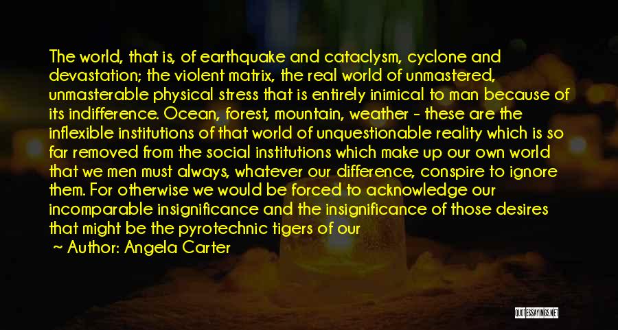 The Ocean Quotes By Angela Carter