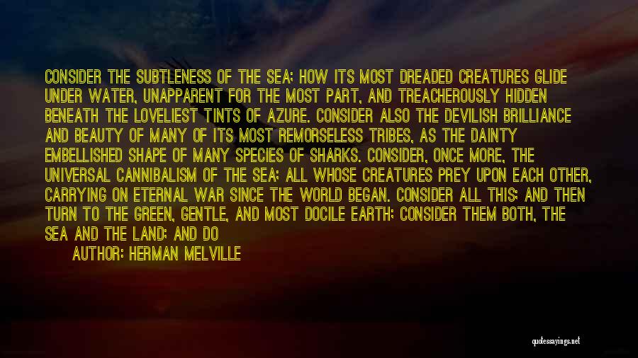 The Ocean Sea Life Quotes By Herman Melville