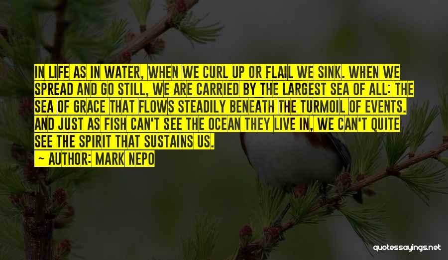 The Ocean Sea Life Quotes By Mark Nepo