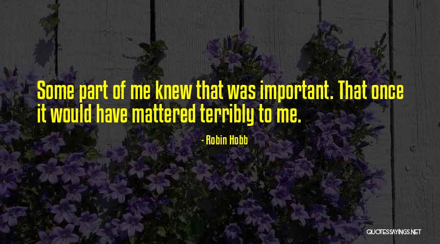 The Office Seminar Quotes By Robin Hobb The Office Seminar Quotes By Robin Hobb