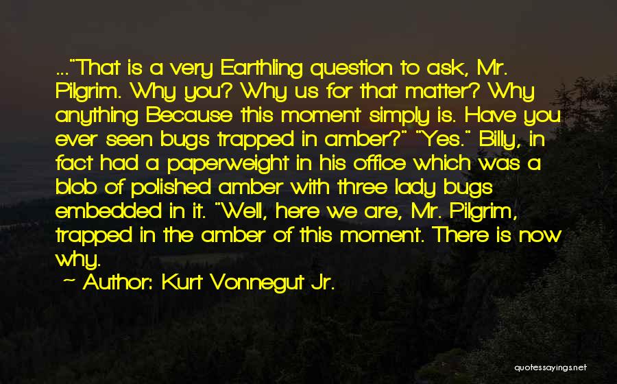 The Office Us Quotes By Kurt Vonnegut Jr.