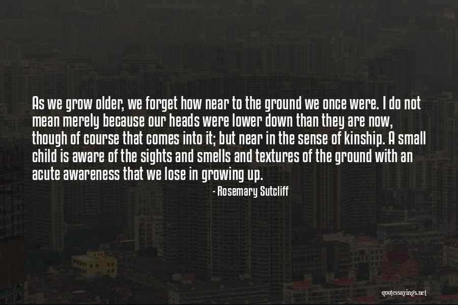 The Older I Grow Quotes By Rosemary Sutcliff The Older I Grow Quotes By Rosemary Sutcliff