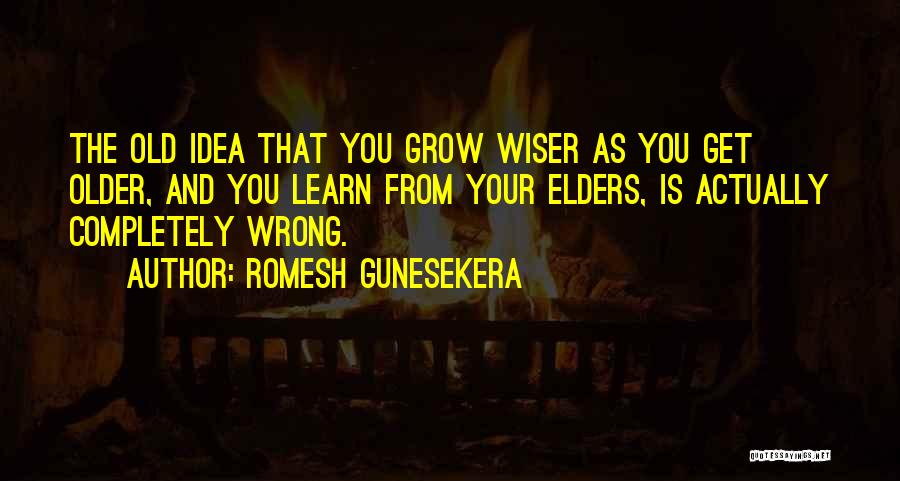 The Older You Get The Wiser Quotes By Romesh Gunesekera
