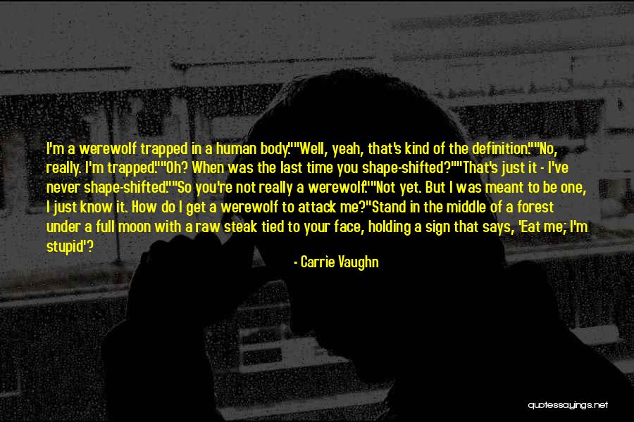 The One You're Meant To Be With Quotes By Carrie Vaughn The One You're Meant To Be With Quotes By Carrie Vaughn